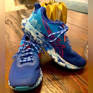 ASICS Noosa Tri 13